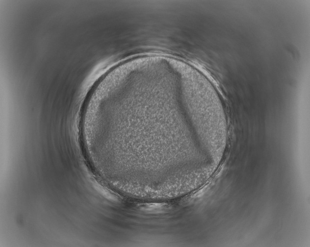 X0000111120151200907281036