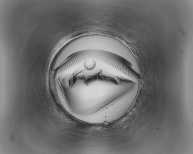 X0000111120152200907281036
