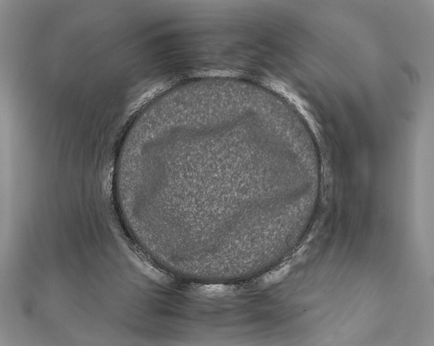 X0000111120153200907281036