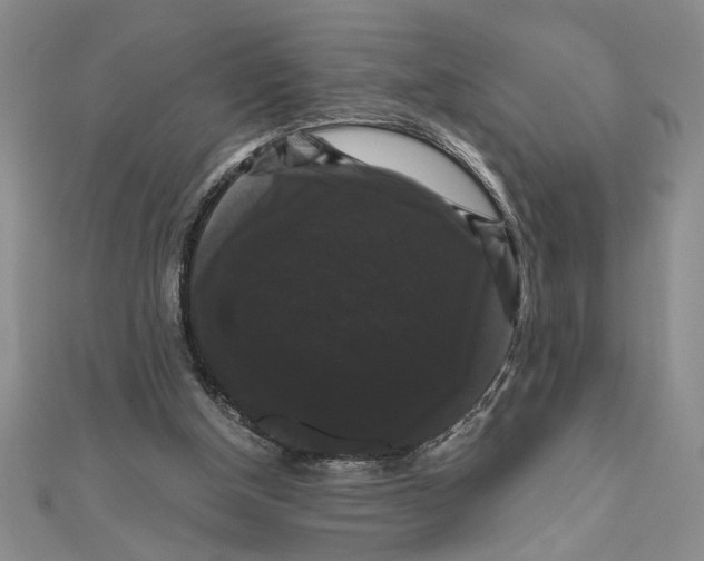 X0000111120154200907281037