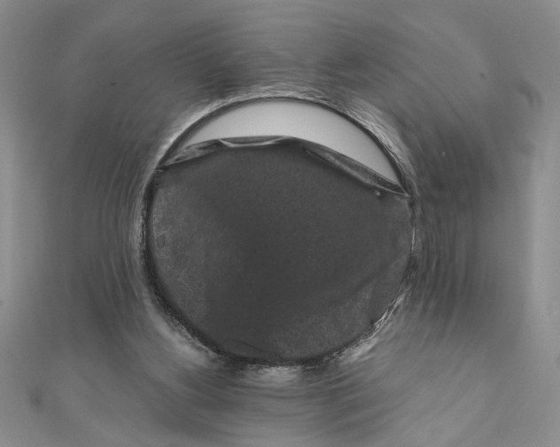X0000111120156200907281037