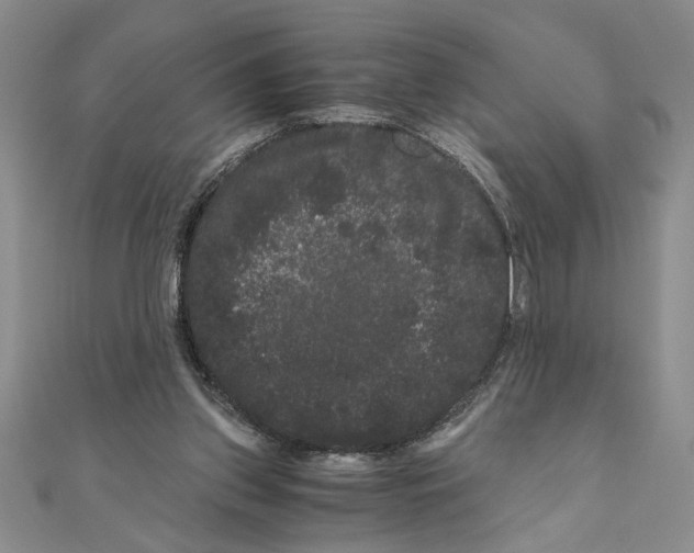 X0000111120157200907281037