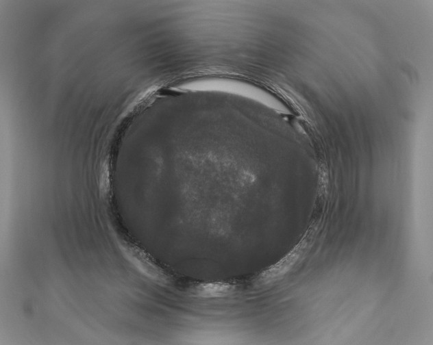 X0000111120158200907281037
