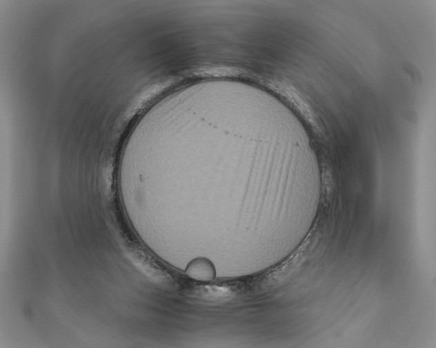 X0000111120159200907281037