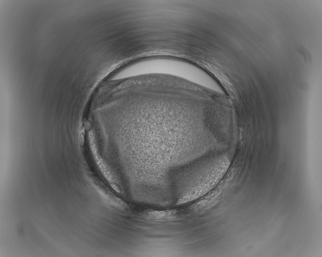 X0000111120160200907281037