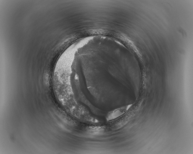 X0000111120161200907281037