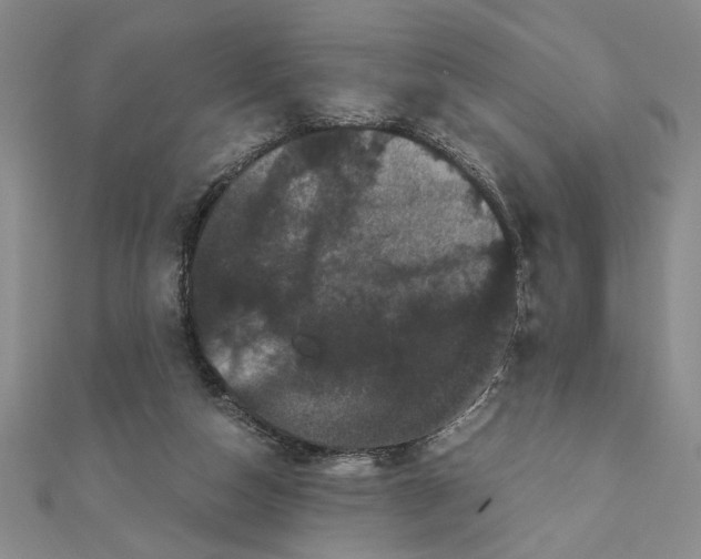 X0000111120162200907281037