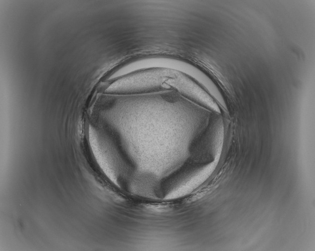 X0000111120164200907281037