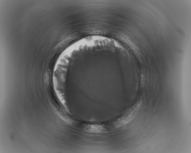 X0000111120165200907281037