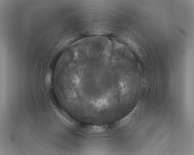 X0000111120166200907281037