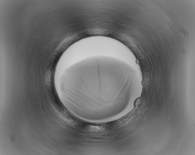 X0000111120167200907281037