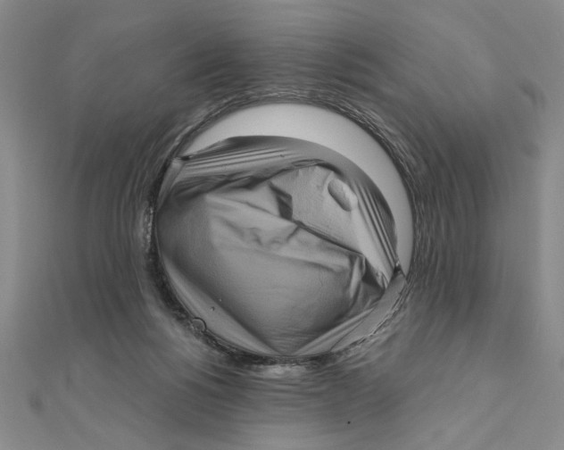 X0000111120168200907281037