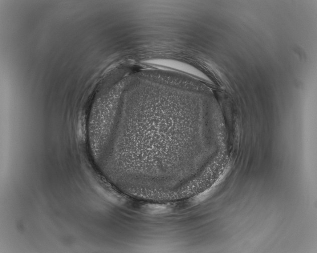 X0000111120170200907281037