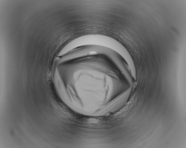 X0000111120176200907281037