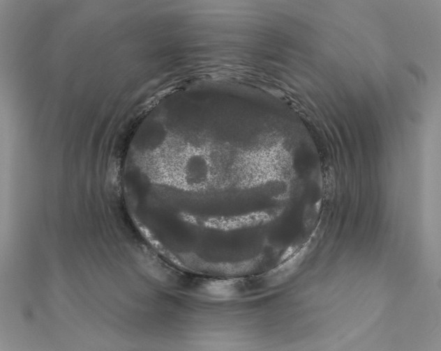 X0000111120178200907281037