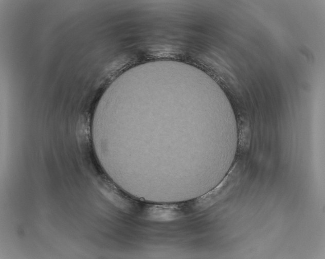 X0000111120179200907281037