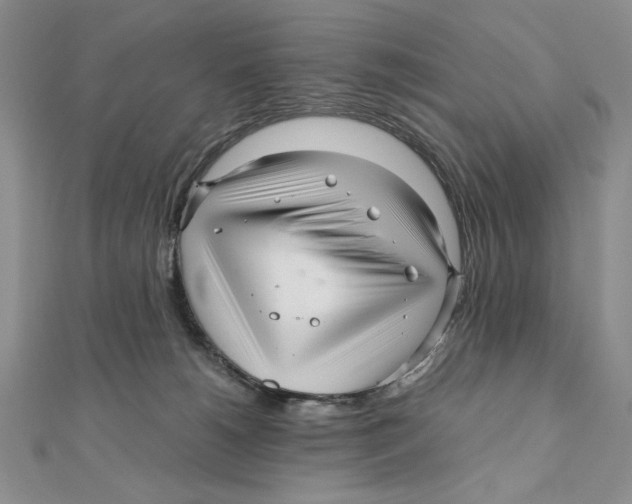 X0000111120180200907281037