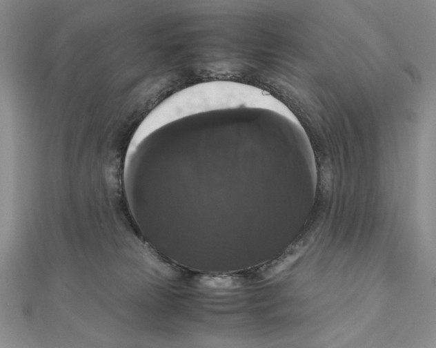 X0000111120181200907281037
