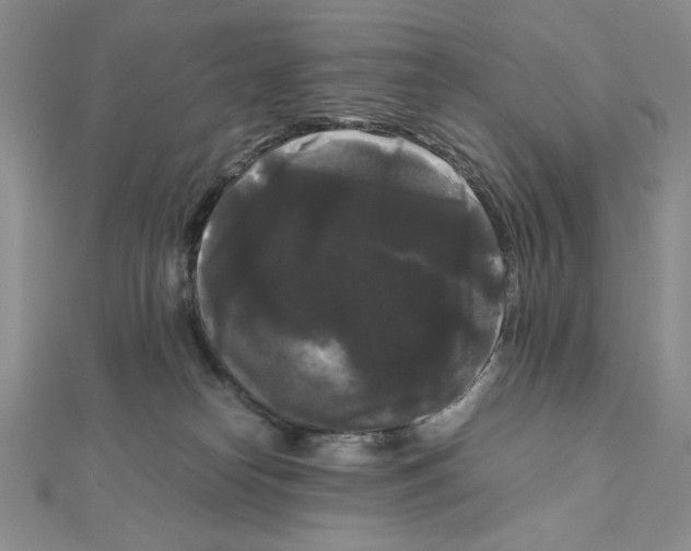 X0000111120182200907281037