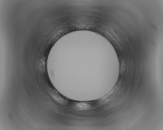 X0000111120183200907281037