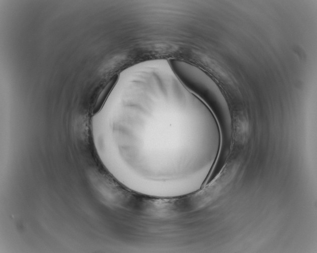 X0000111120184200907281037