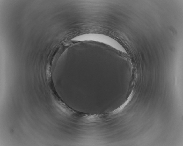 X0000111120186200907281037