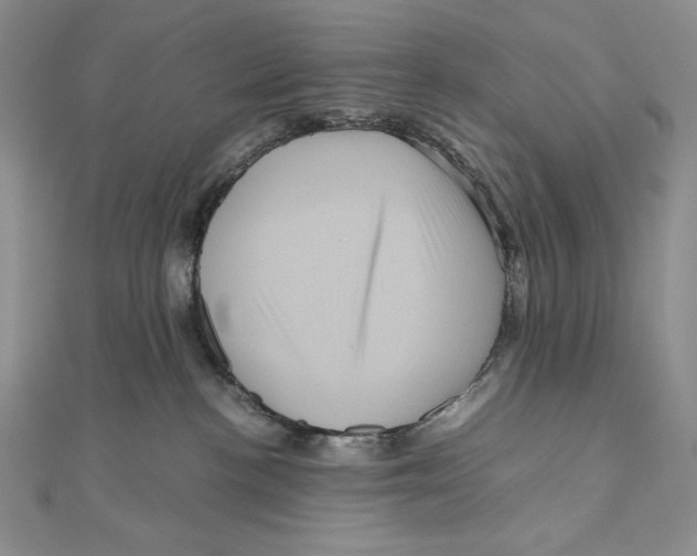 X0000111120188200907281037