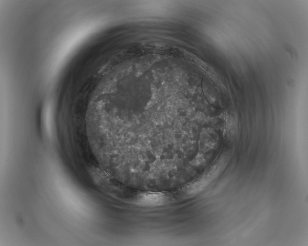 X0000111120189200907281037