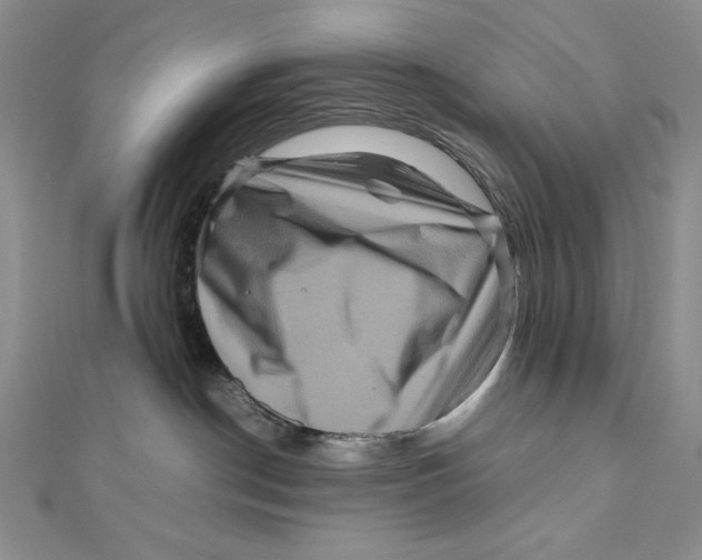 X0000111120190200907281037