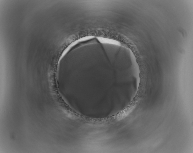 X0000111120192200907281037