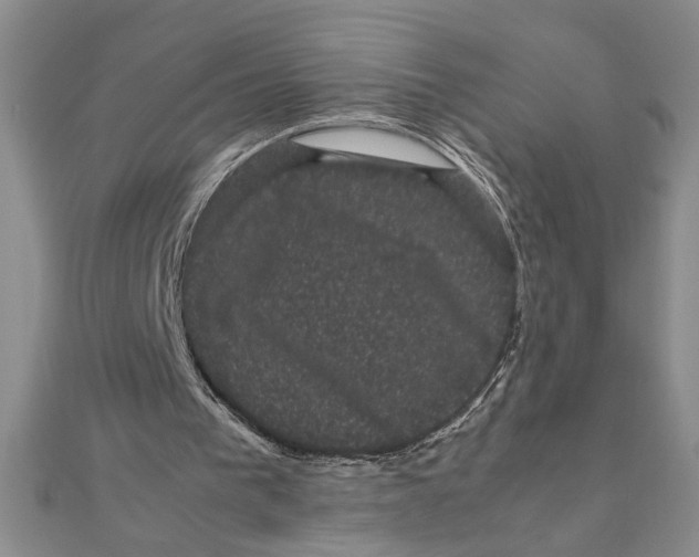 X0000111120193200907281036