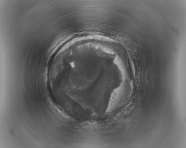 X0000111120194200907281036