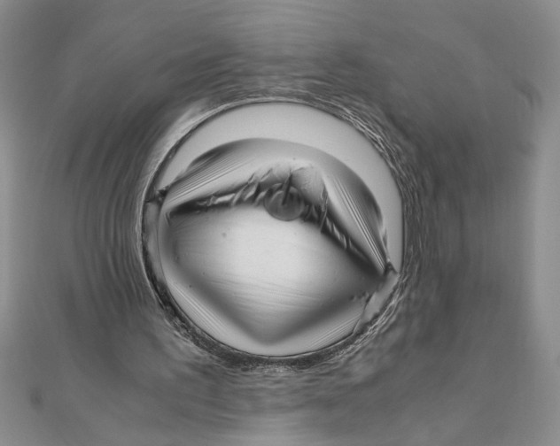 X0000111120195200907281036
