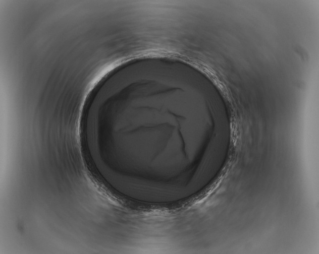 X0000111120196200907281036