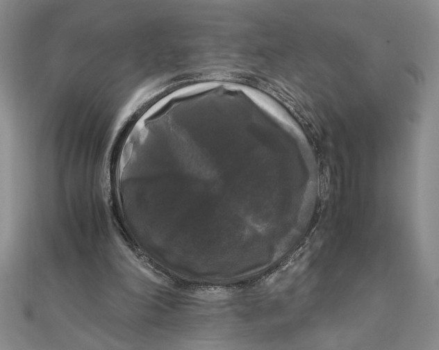 X0000111120198200907281036