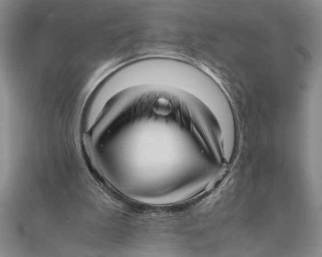 X0000111120199200907281036