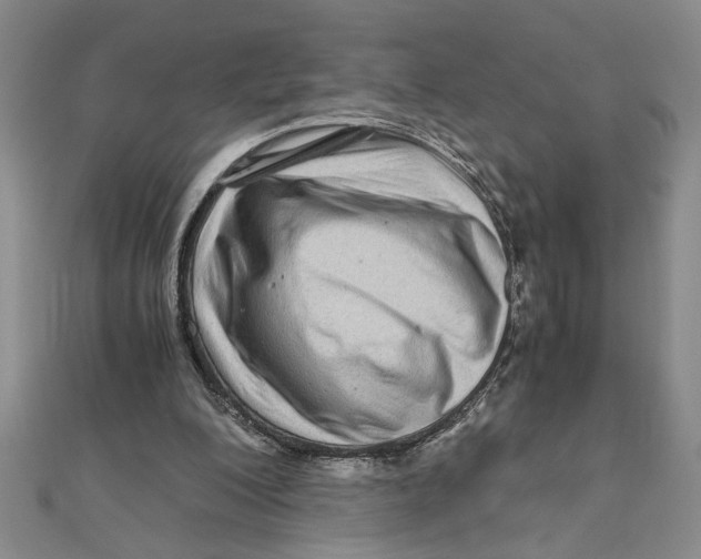X0000111120200200907281036