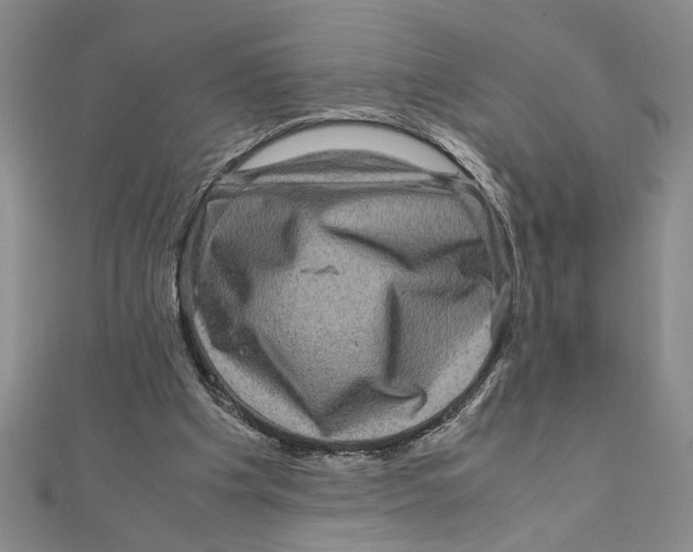 X0000111120201200907281036