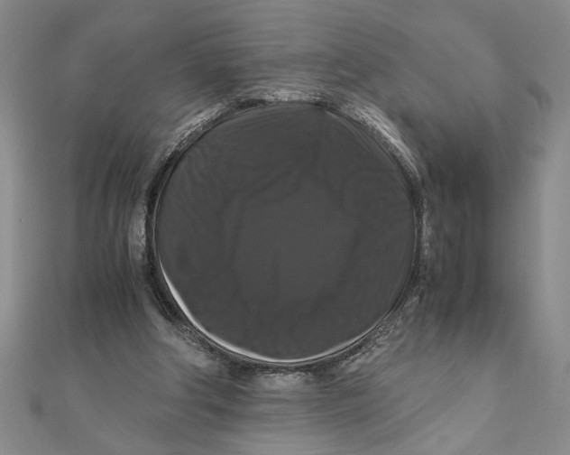 X0000111120202200907281036