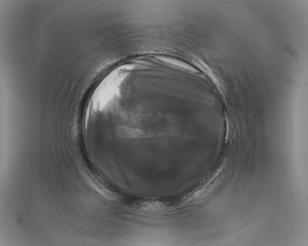 X0000111120203200907281036