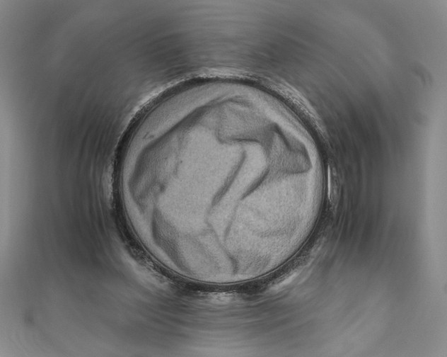 X0000111120204200907281036