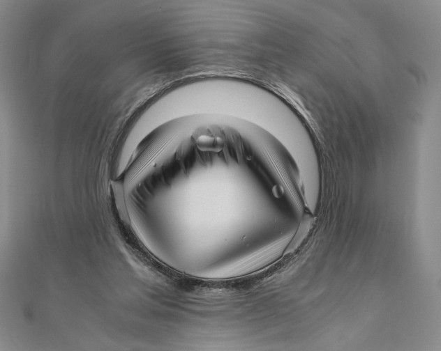 X0000111120205200907281036