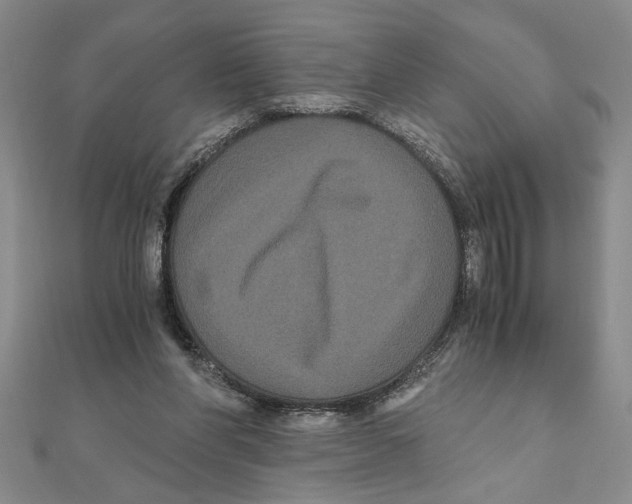 X0000111120206200907281036