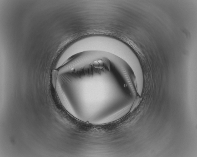 X0000111120207200907281036