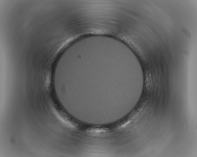 X0000111120208200907281036