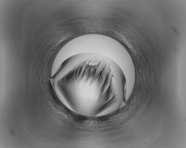 X0000111120211200907281036