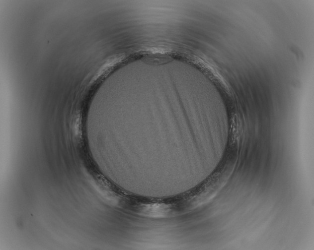 X0000111120212200907281036