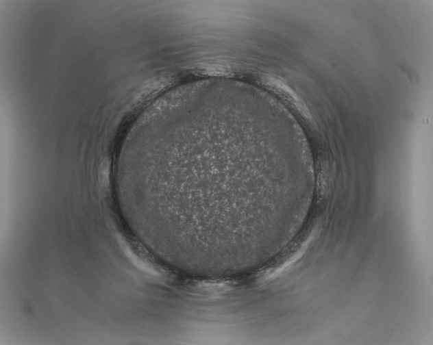 X0000111120213200907281036