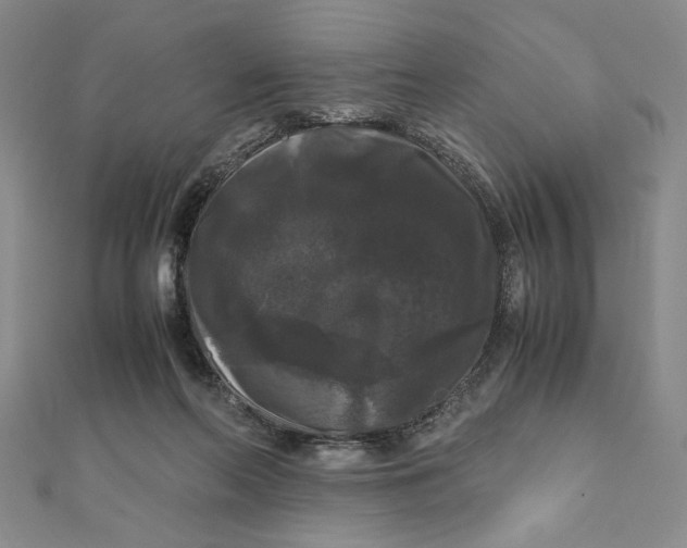 X0000111120214200907281036