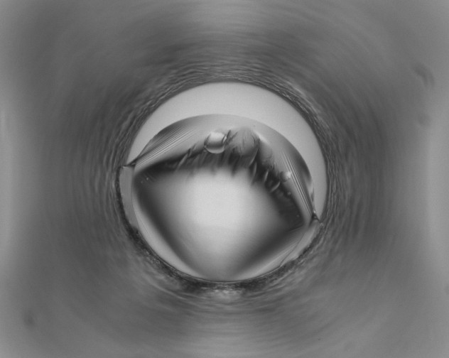 X0000111120217200907281036